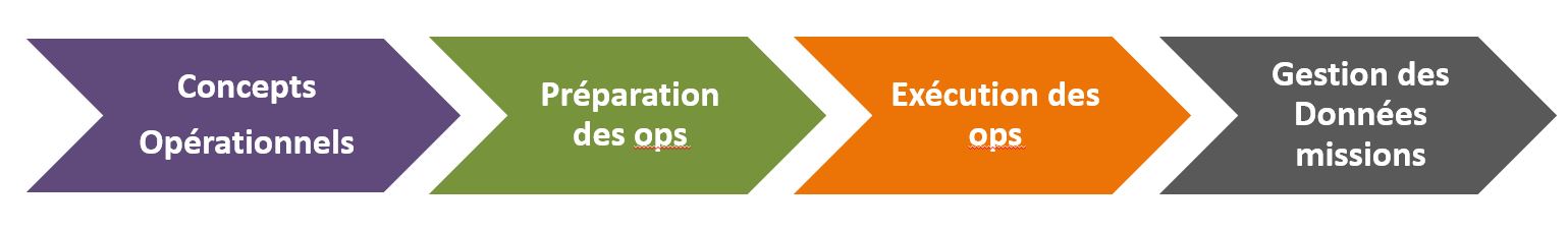 Processus de développement